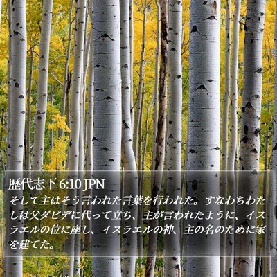 歴代志下 6:10 JPN Bible Verse Image