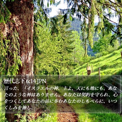 歴代志下 6:14 JPN Bible Verse Image