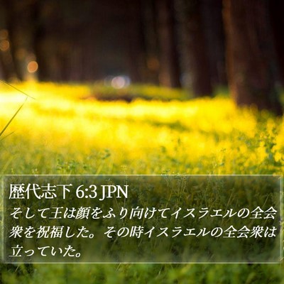 歴代志下 6:3 JPN Bible Verse Image