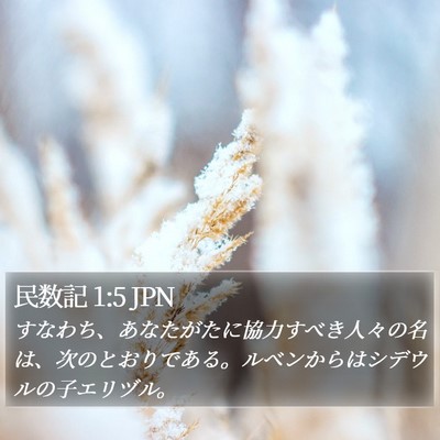 民数記 1:5 JPN Bible Verse Image