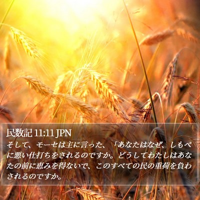 民数記 11:11 JPN Bible Verse Image