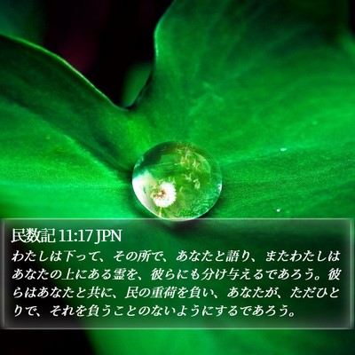 民数記 11:17 JPN Bible Verse Image