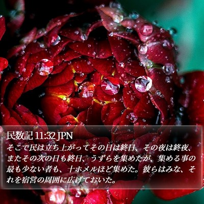 民数記 11:32 JPN Bible Verse Image