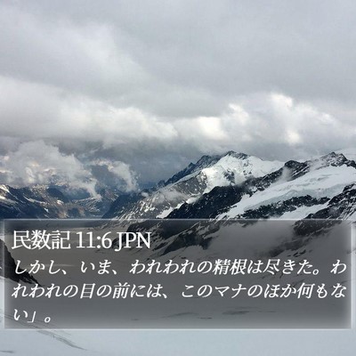 民数記 11:6 JPN Bible Verse Image