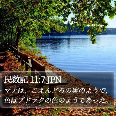 民数記 11:7 JPN Bible Verse Image