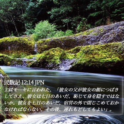 民数記 12:14 JPN Bible Verse Image