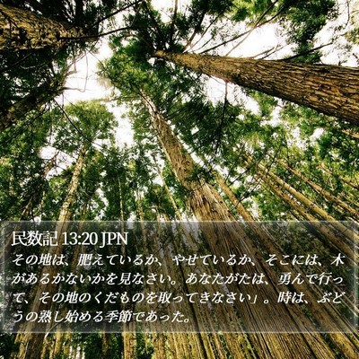 民数記 13:20 JPN Bible Verse Image