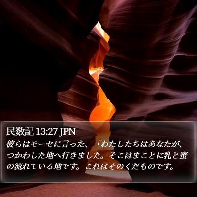 民数記 13:27 JPN Bible Verse Image