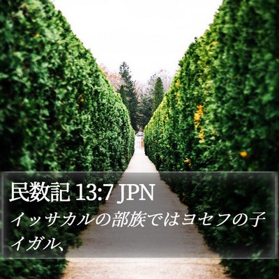 民数記 13:7 JPN Bible Verse Image