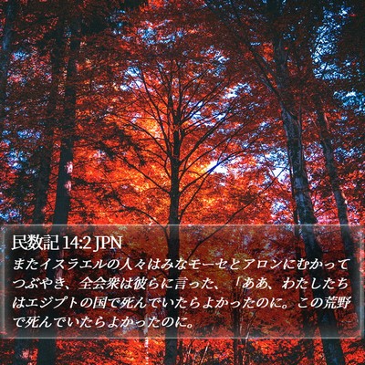 民数記 14:2 JPN Bible Verse Image