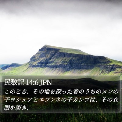 民数記 14:6 JPN Bible Verse Image