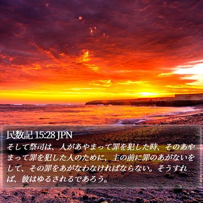 民数記 15:28 JPN Bible Verse Image