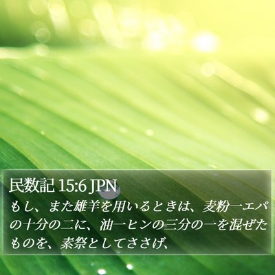 民数記 15:6 JPN Bible Verse Image