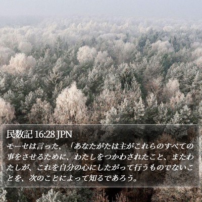 民数記 16:28 JPN Bible Verse Image