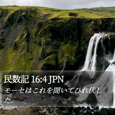 民数記 16:4 JPN Bible Verse Image