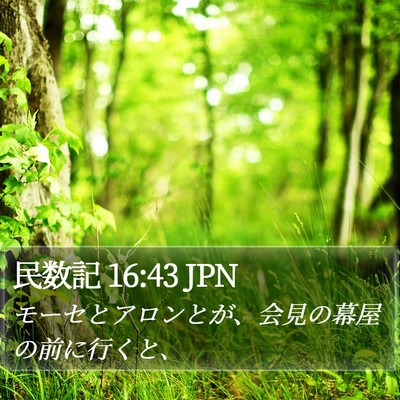 民数記 16:43 JPN Bible Verse Image