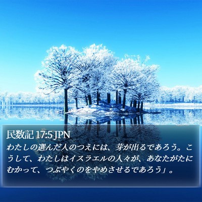 民数記 17:5 JPN Bible Verse Image