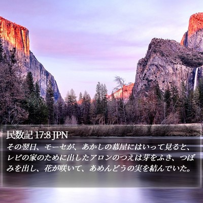 民数記 17:8 JPN Bible Verse Image