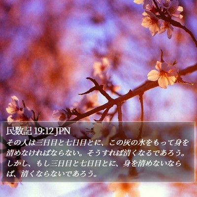 民数記 19:12 JPN Bible Verse Image
