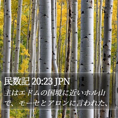 民数記 20:23 JPN Bible Verse Image