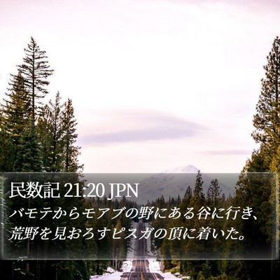民数記 21:20 JPN Bible Verse Image