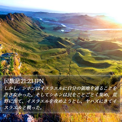 民数記 21:23 JPN Bible Verse Image