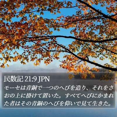民数記 21:9 JPN Bible Verse Image