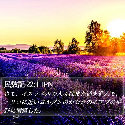 民数記 22:1 JPN Bible Verse Image