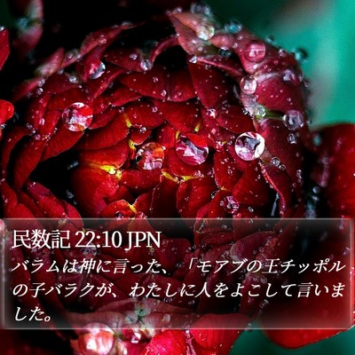 民数記 22:10 JPN Bible Verse Image