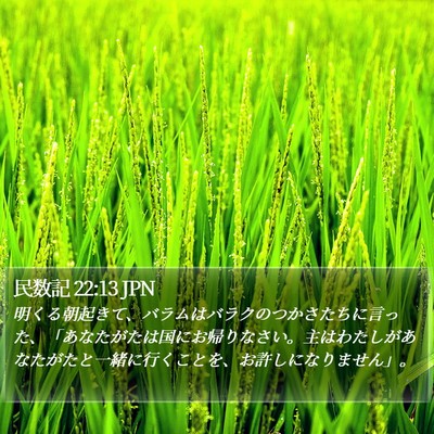 民数記 22:13 JPN Bible Verse Image