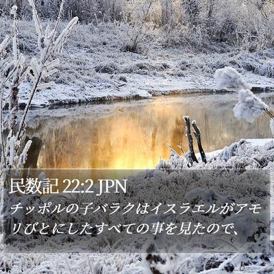 民数記 22:2 JPN Bible Verse Image
