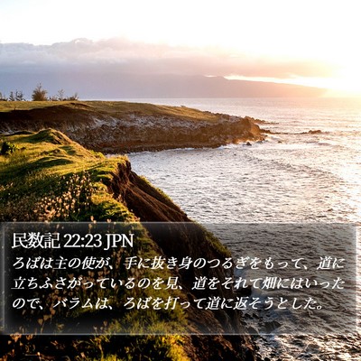 民数記 22:23 JPN Bible Verse Image