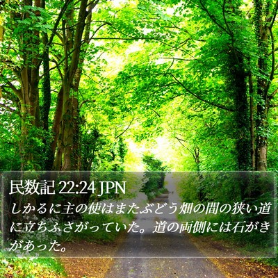 民数記 22:24 JPN Bible Verse Image