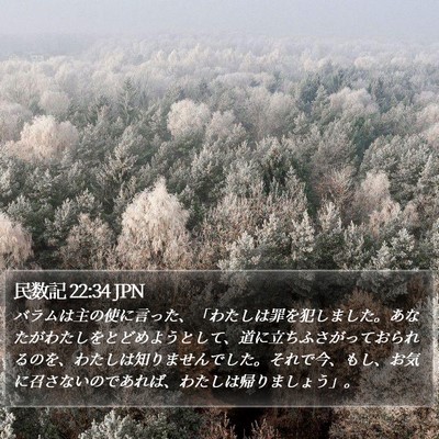 民数記 22:34 JPN Bible Verse Image