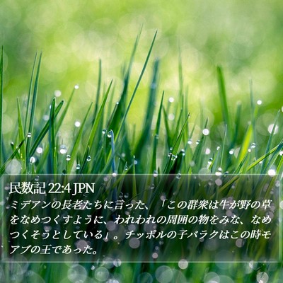 民数記 22:4 JPN Bible Verse Image