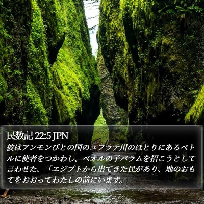 民数記 22:5 JPN Bible Verse Image