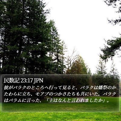 民数記 23:17 JPN Bible Verse Image