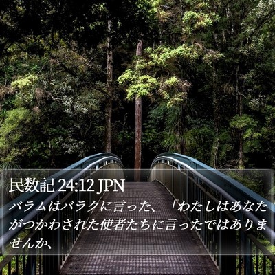 民数記 24:12 JPN Bible Verse Image