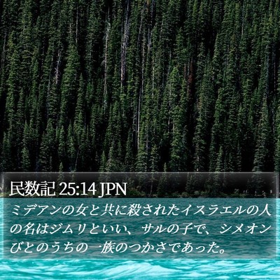 民数記 25:14 JPN Bible Verse Image
