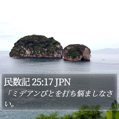 民数記 25:17 JPN Bible Verse Image