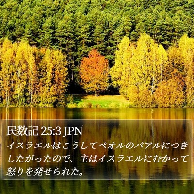 民数記 25:3 JPN Bible Verse Image