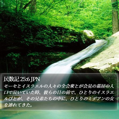 民数記 25:6 JPN Bible Verse Image