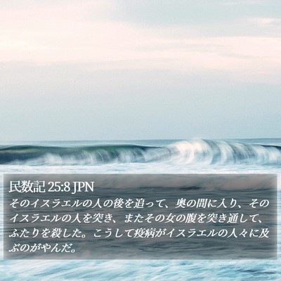 民数記 25:8 JPN Bible Verse Image
