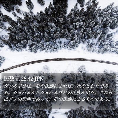 民数記 26:42 JPN Bible Verse Image