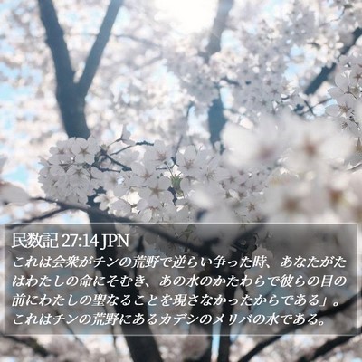 民数記 27:14 JPN Bible Verse Image