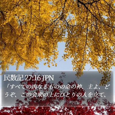 民数記 27:16 JPN Bible Verse Image