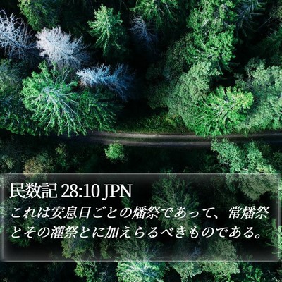民数記 28:10 JPN Bible Verse Image