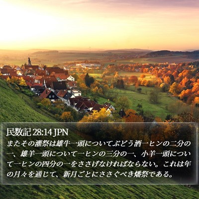 民数記 28:14 JPN Bible Verse Image
