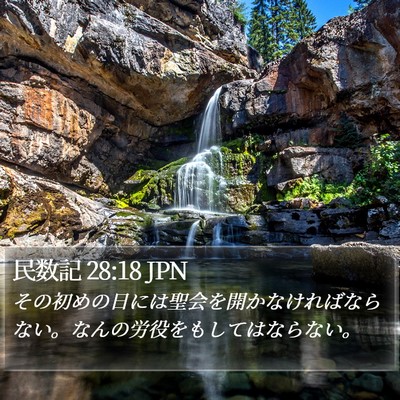 民数記 28:18 JPN Bible Verse Image