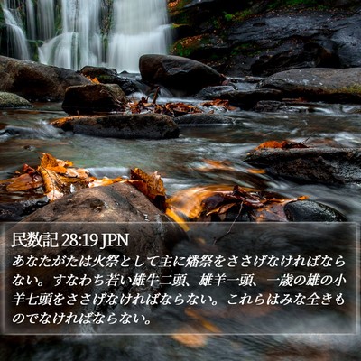 民数記 28:19 JPN Bible Verse Image